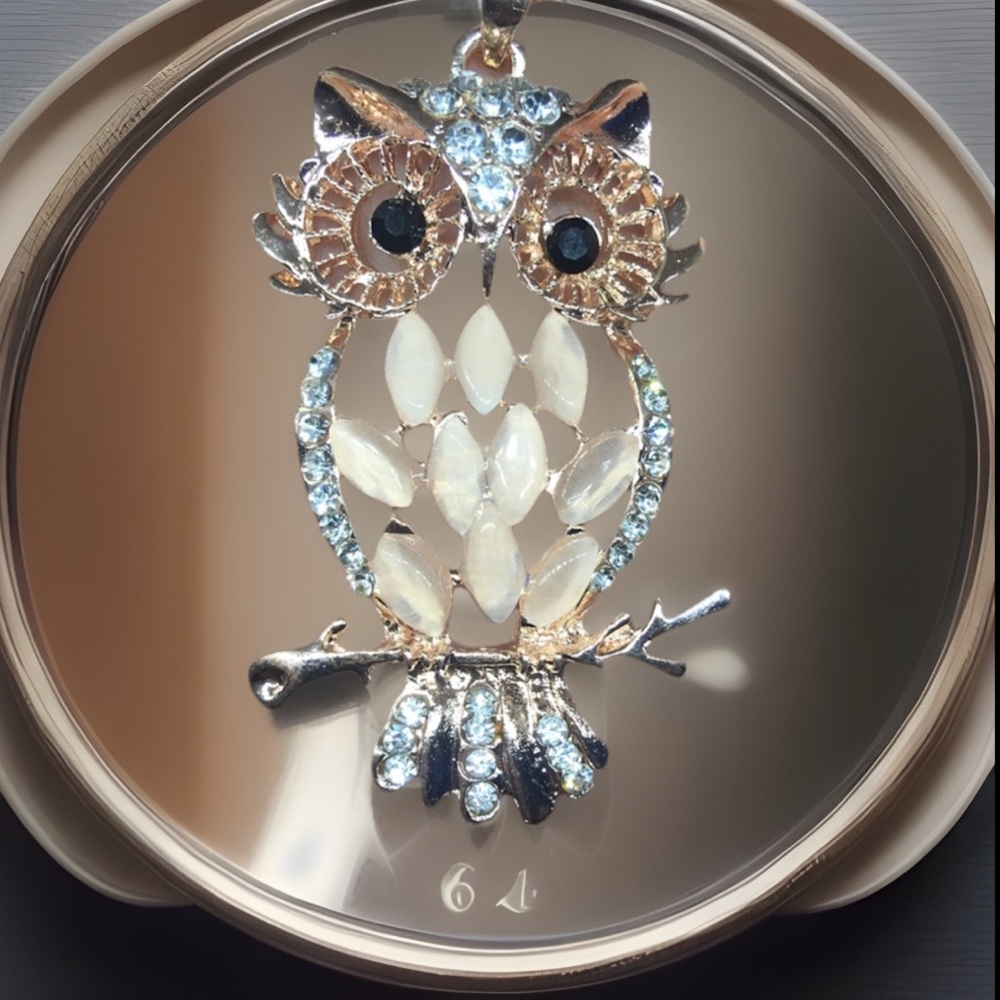Crystal Owl Necklace Made By Muskwaki Indian Tribe In Tama Iowa Handmade